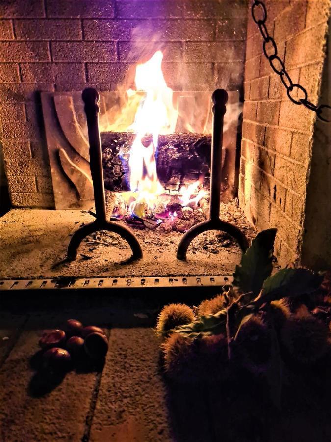 Incantevole Casa Sul Fiume, Relax E Natura Ai Piedi Della Alpi Apuane Маса Екстериор снимка